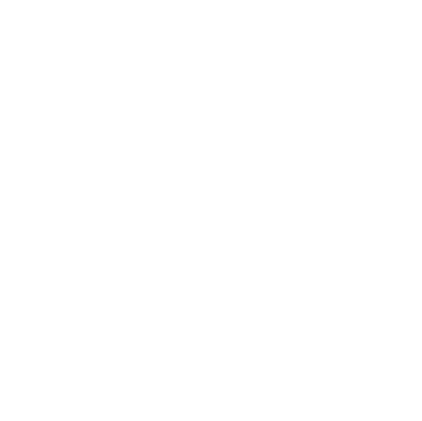 Liver Health Support