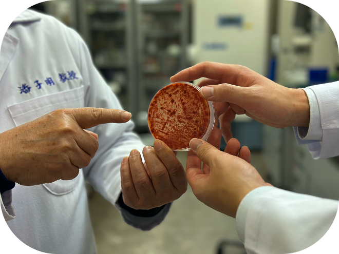 Petri Dish Research